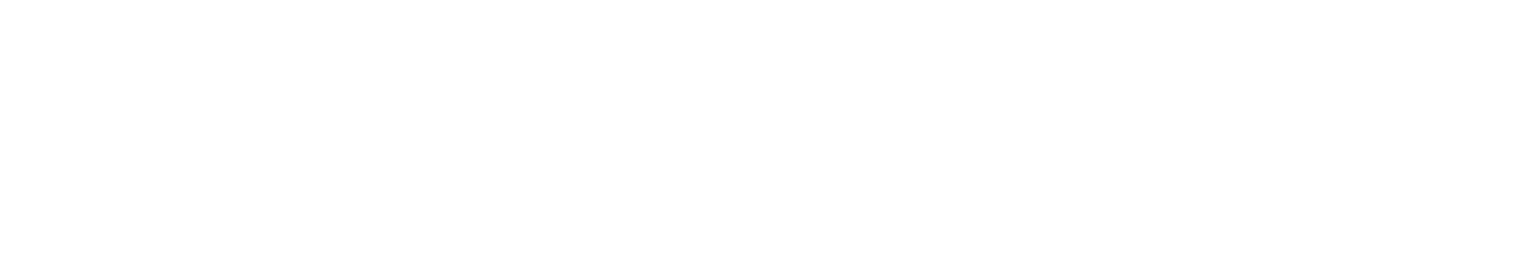 Swiftly Logo